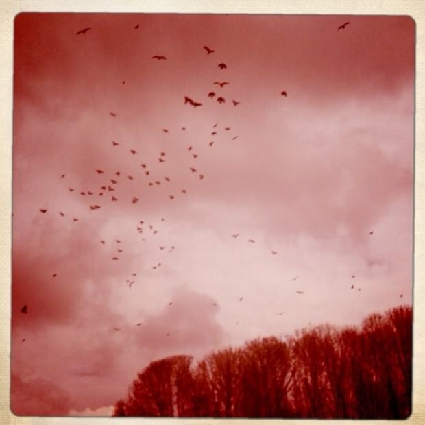 İşini bıraktı, Instagram fotoğrafçısı oldu