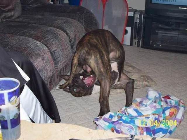 1 saniye sonrasını merak edeceğiniz 50 fotoğraf