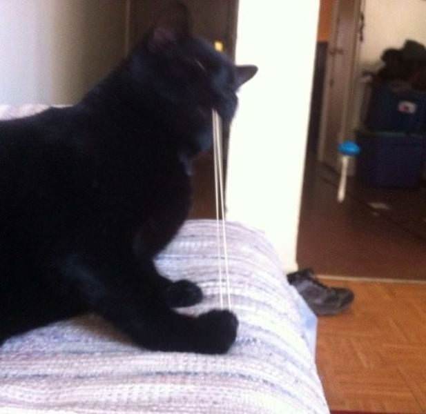 1 saniye sonrasını merak edeceğiniz 50 fotoğraf