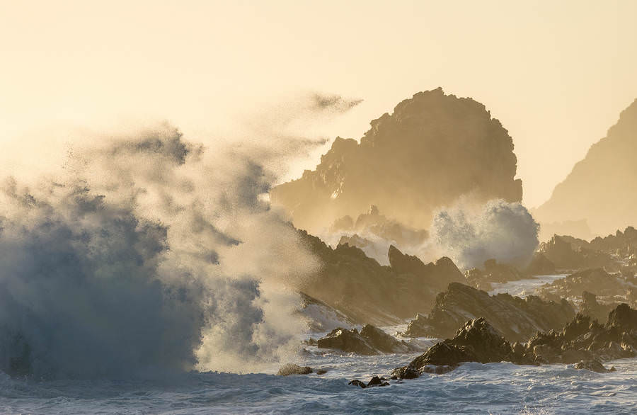 Afrika'nın benzersiz dünyası