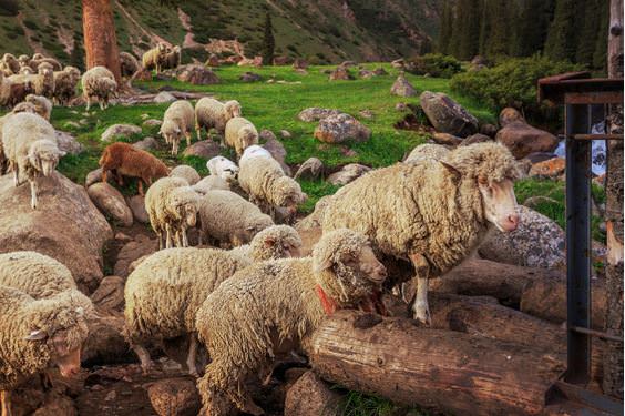 Doğal güzelliği ile Kırgızistan
