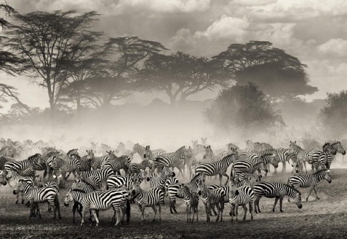 Gitmek için cesaret isteyen yerler