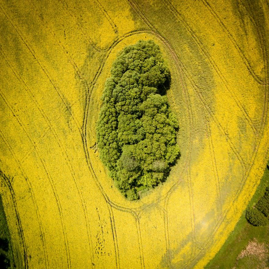 Onlar Dünyayı Böyle Görüyor