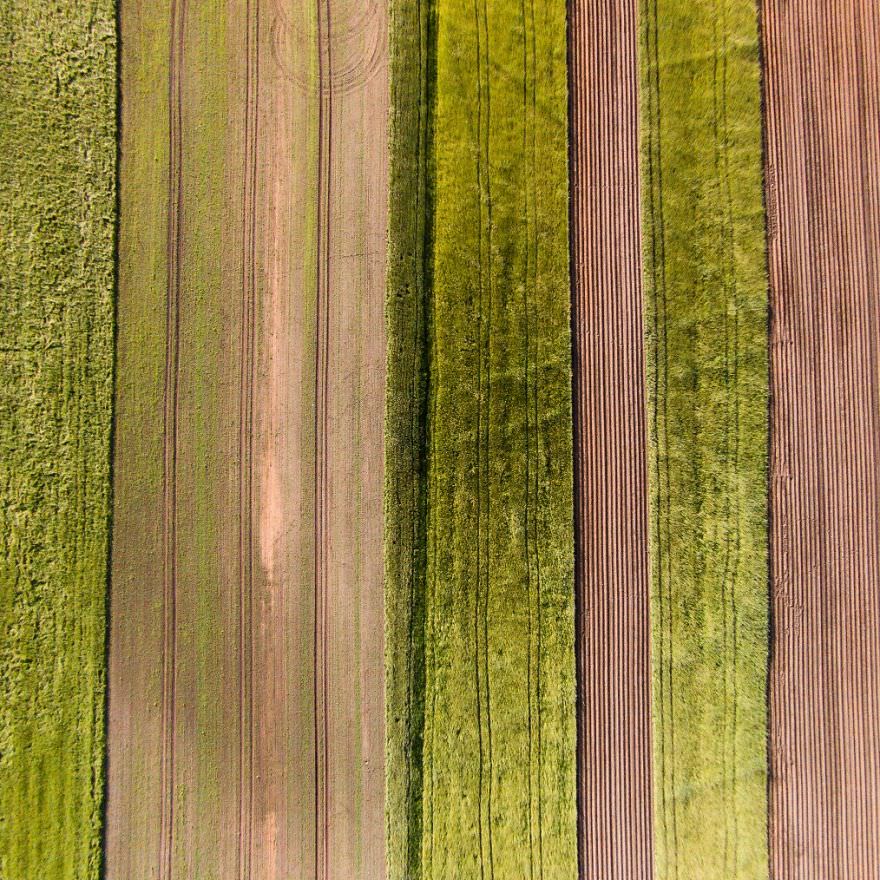 Onlar Dünyayı Böyle Görüyor