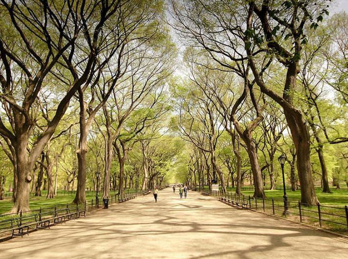 Dünyanın en ünlü yerlerinin çevresi