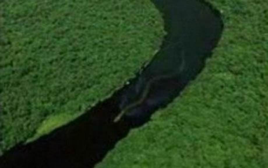 Dünya'nın merak ettiği olaylar