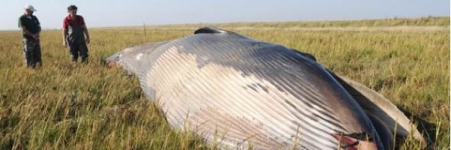 Dünya'nın merak ettiği olaylar