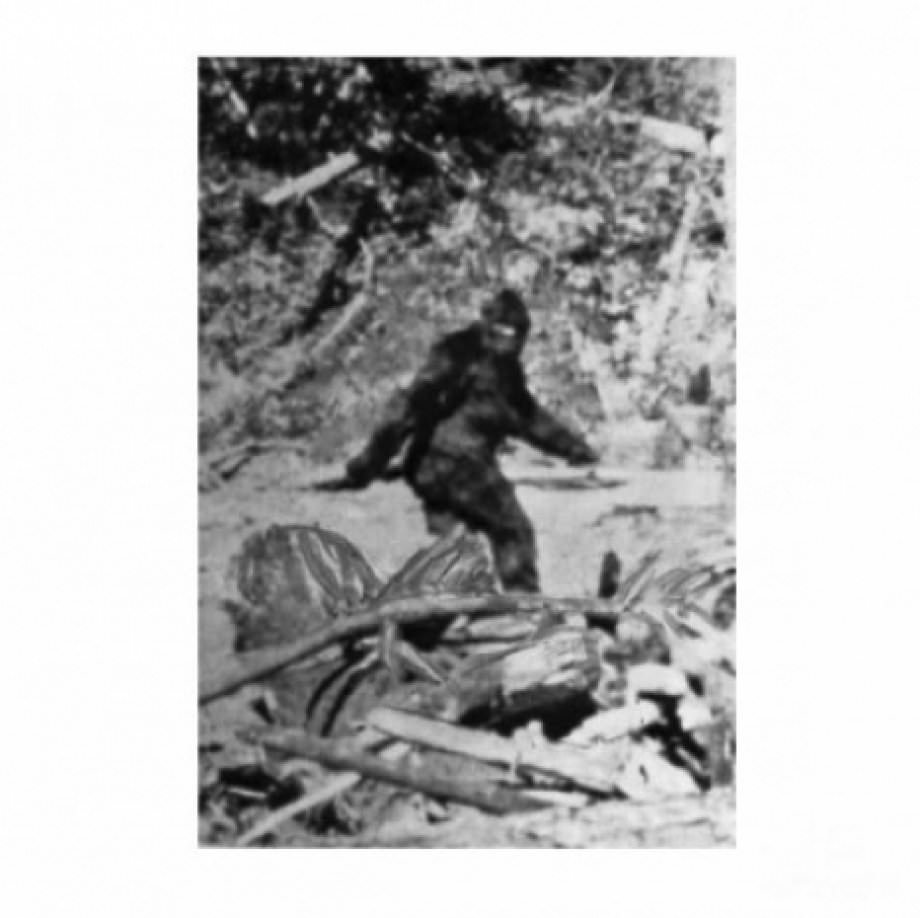 Dünya'nın merak ettiği olaylar