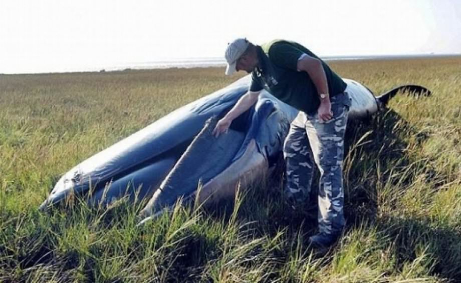 Dünya'nın merak ettiği olaylar