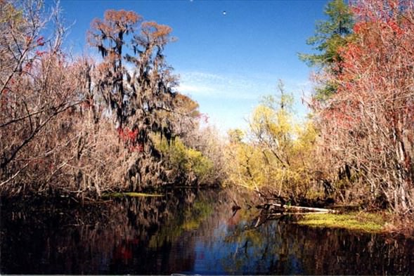 Dünyanın En Korkunç Yerleri
