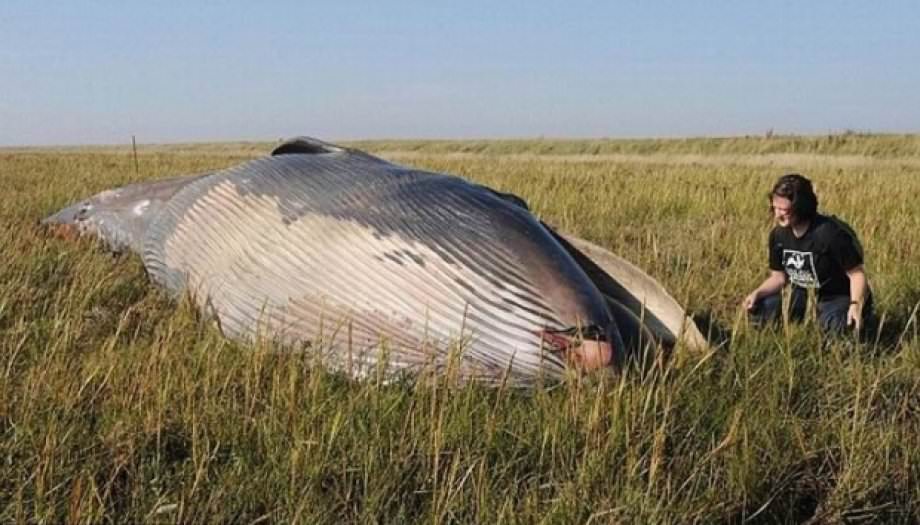 Dünya'nın merak ettiği olaylar