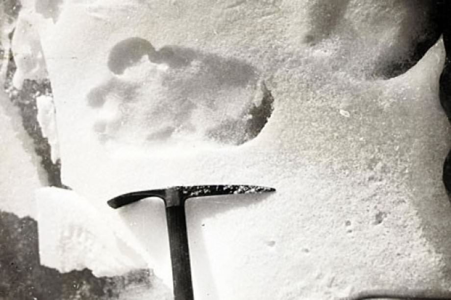 Dünya'nın merak ettiği olaylar