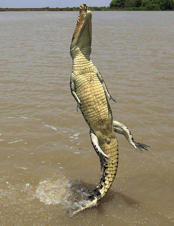 Avustralya'ya Gitmek İçin 8 Neden