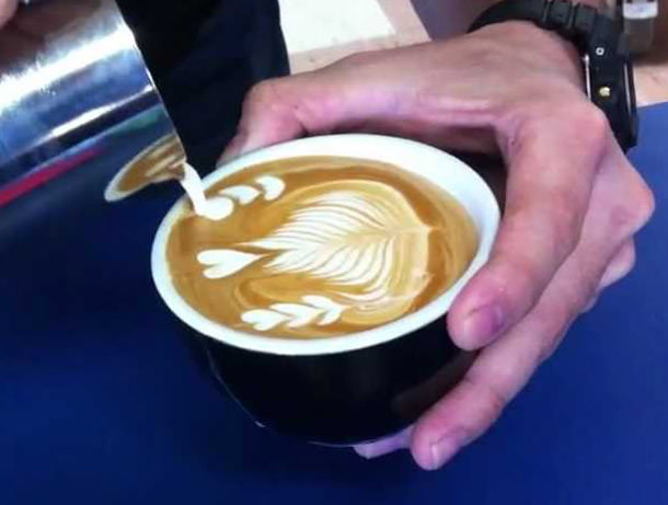 Avustralya'ya Gitmek İçin 8 Neden