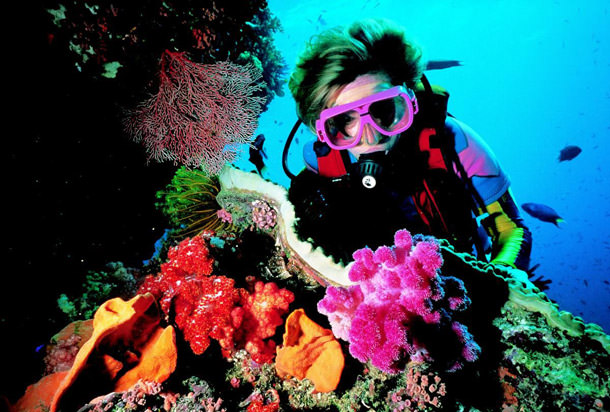 Avustralya'ya Gitmek İçin 8 Neden