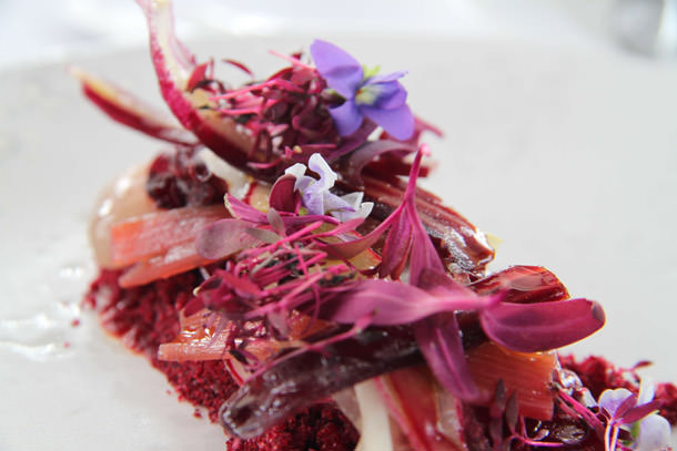 Avustralya'ya Gitmek İçin 8 Neden