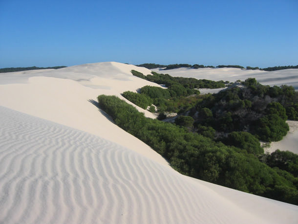 Avustralya'ya Gitmek İçin 8 Neden