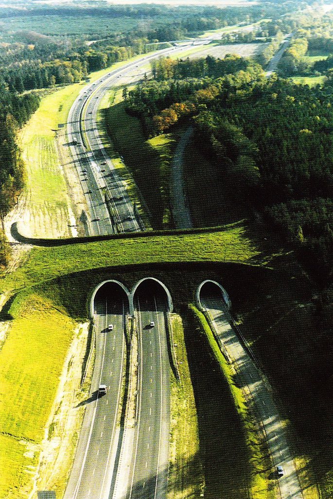 Mimari Başyapıtın Sözlük Karşılığı Niteliğinde 30 Muazzam Köprü