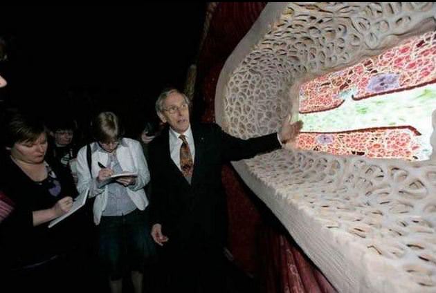 Şaşırtan Müzeler