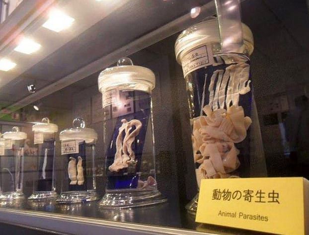 Şaşırtan Müzeler