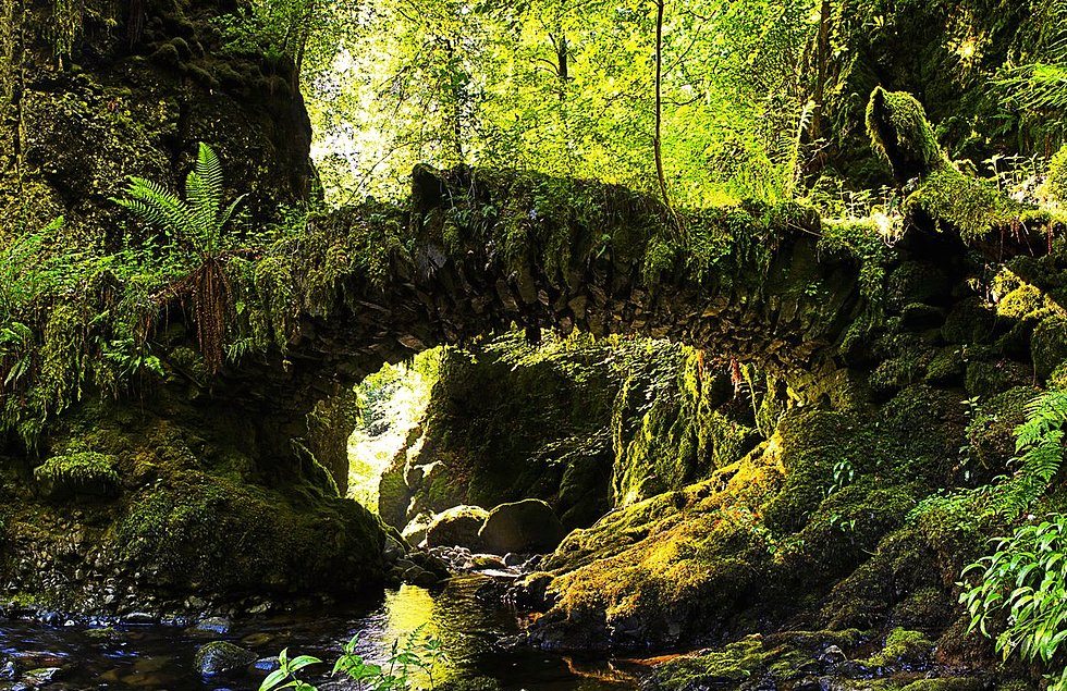Mimari Başyapıtın Sözlük Karşılığı Niteliğinde 30 Muazzam Köprü