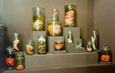 Şaşırtan Müzeler