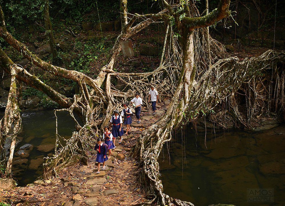 Mimari Başyapıtın Sözlük Karşılığı Niteliğinde 30 Muazzam Köprü