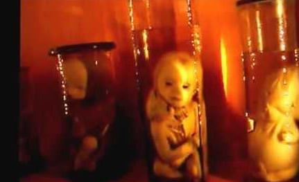 Şaşırtan Müzeler