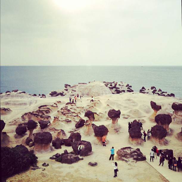 Instagram'ın en iyi fotoğrafları