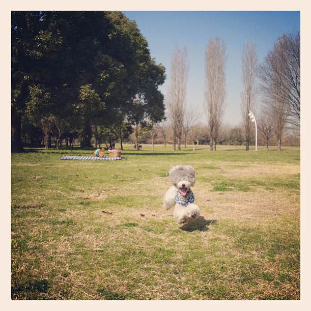 Instagram'ın en iyi fotoğrafları