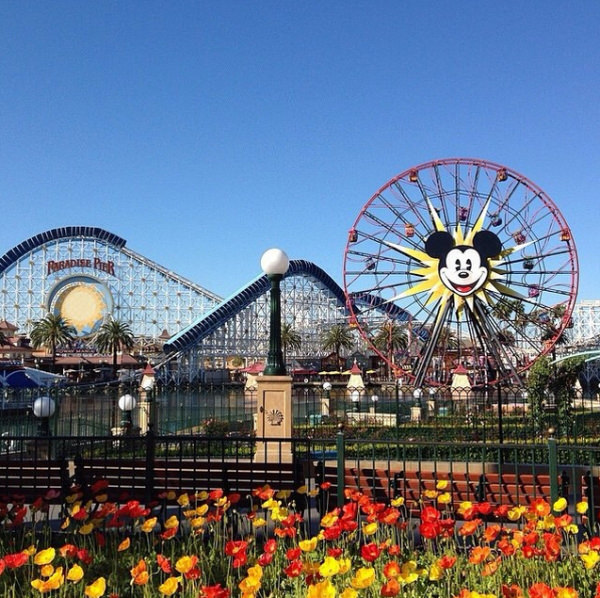 Instagram'ın en iyi fotoğrafları