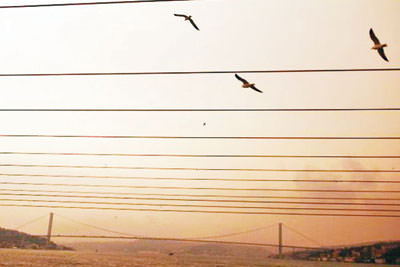 Instagram'ın en iyi fotoğrafları