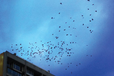 Instagram'ın en iyi fotoğrafları