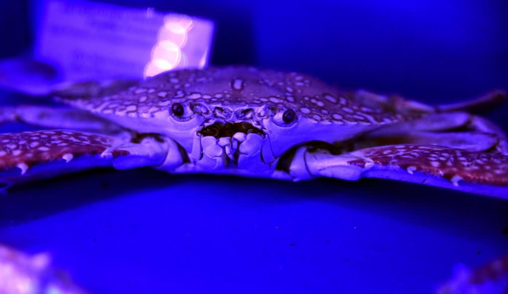 Deniz Müzesinden muhteşem kareler