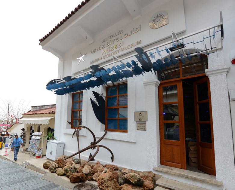 Deniz Müzesinden muhteşem kareler