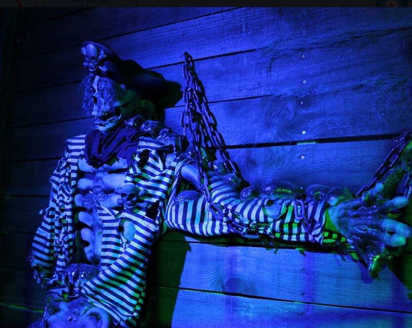 Deniz Müzesinden muhteşem kareler