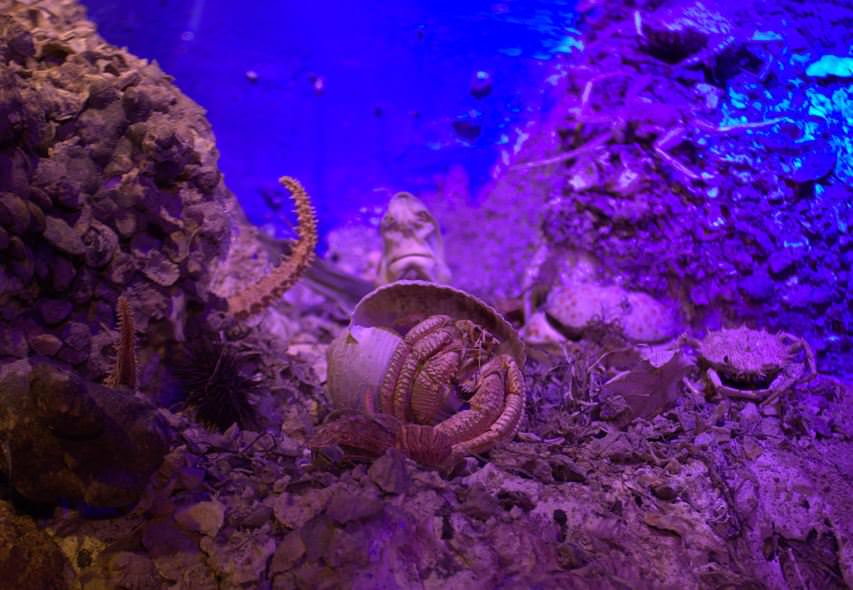 Deniz Müzesinden muhteşem kareler