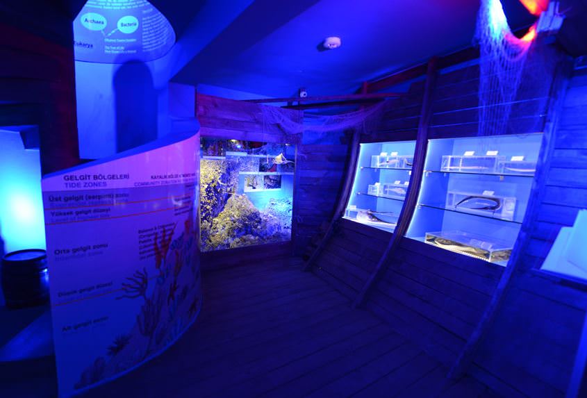 Deniz Müzesinden muhteşem kareler