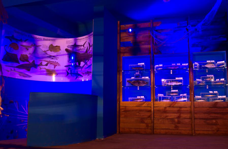 Deniz Müzesinden muhteşem kareler