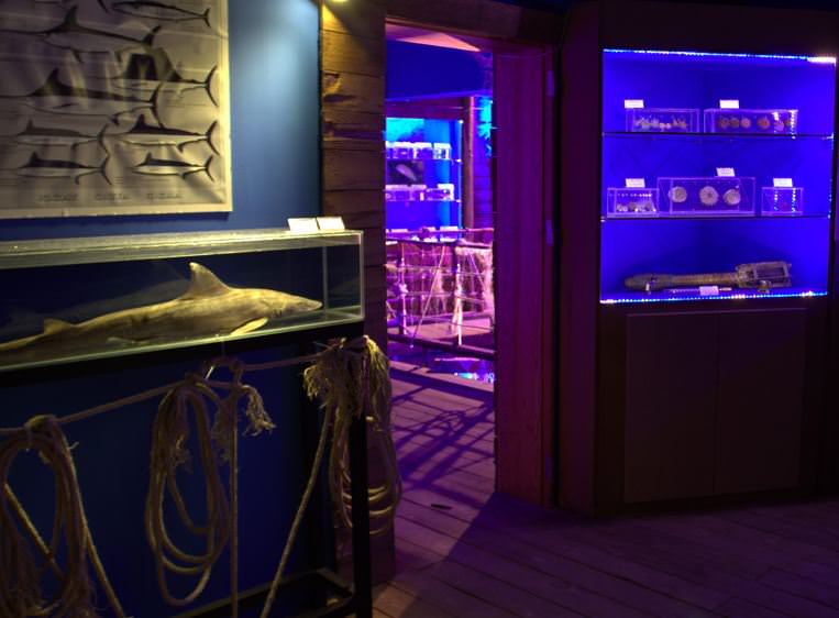 Deniz Müzesinden muhteşem kareler