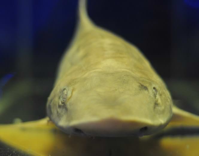 Deniz Müzesinden muhteşem kareler