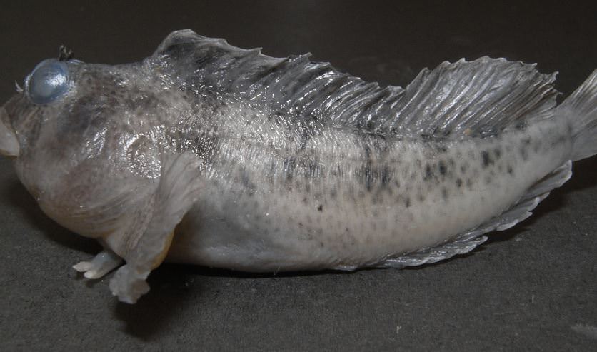 Deniz Müzesinden muhteşem kareler