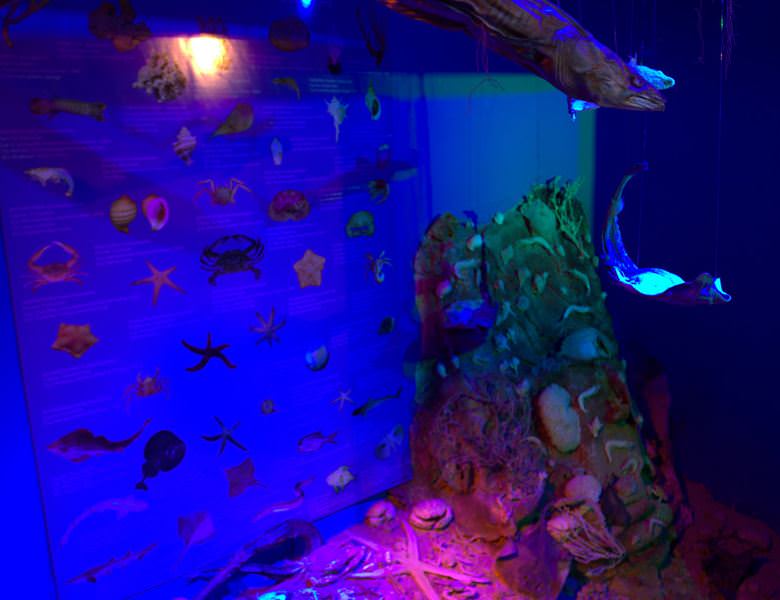 Deniz Müzesinden muhteşem kareler