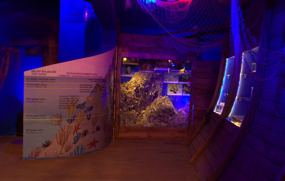 Deniz Müzesinden muhteşem kareler