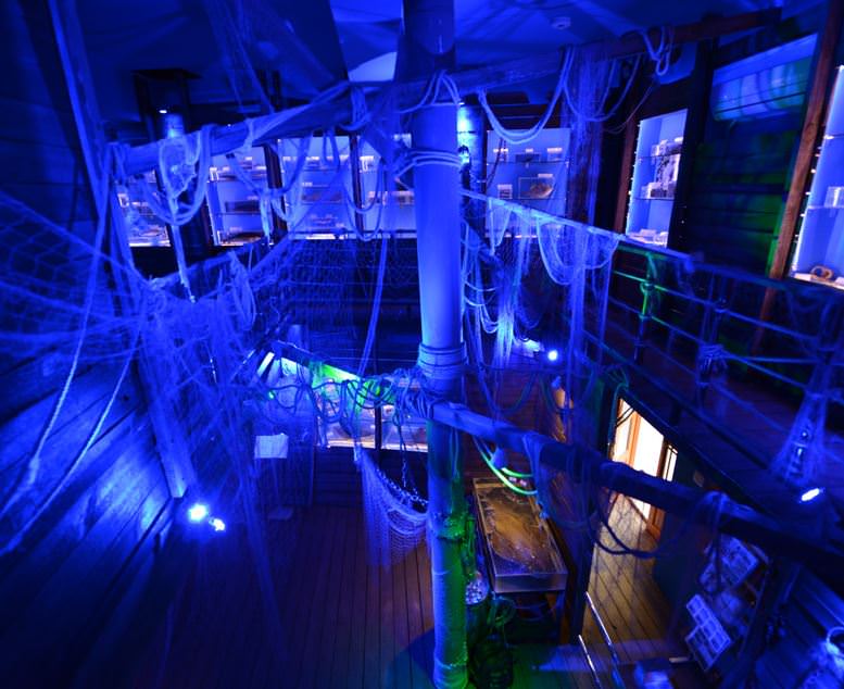 Deniz Müzesinden muhteşem kareler