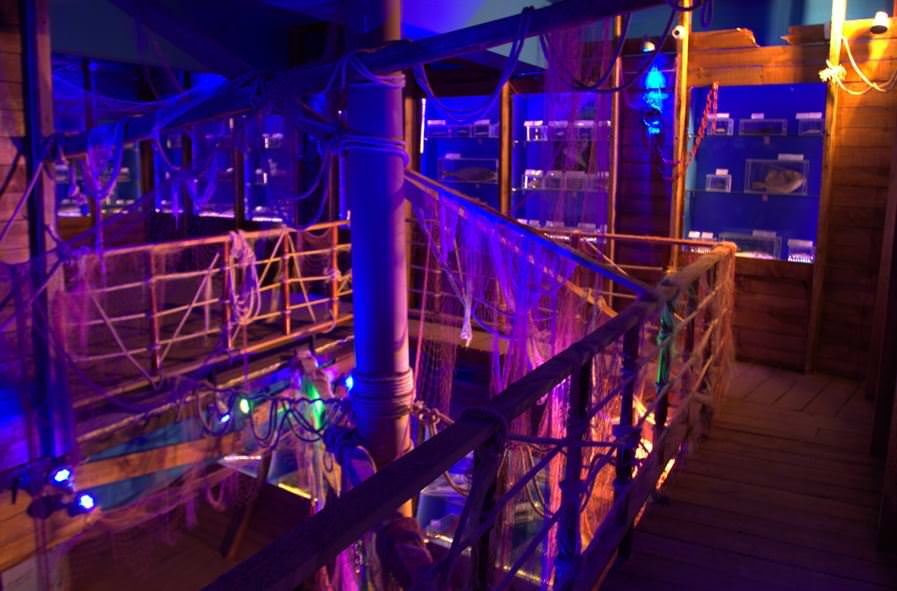 Deniz Müzesinden muhteşem kareler