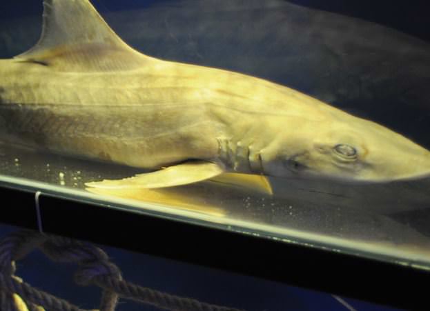 Deniz Müzesinden muhteşem kareler