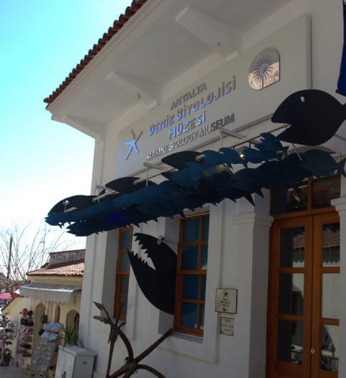 Deniz Müzesinden muhteşem kareler