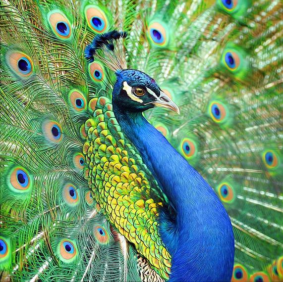 Türk Sanatçıdan Fotoğraf Olmadığına İnanamayacağınız 21 Muhteşem Dijital Çizim!