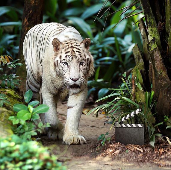 Türk Sanatçıdan Fotoğraf Olmadığına İnanamayacağınız 21 Muhteşem Dijital Çizim!